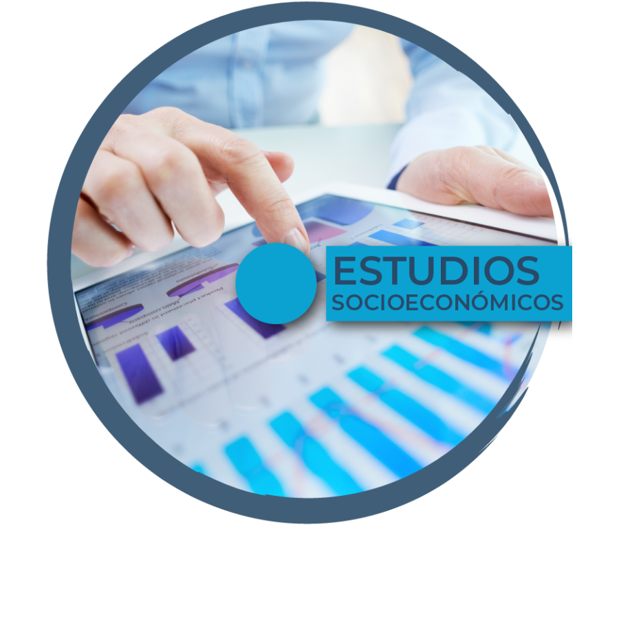 ESTUDIOS SOCIOECONÓMICOS